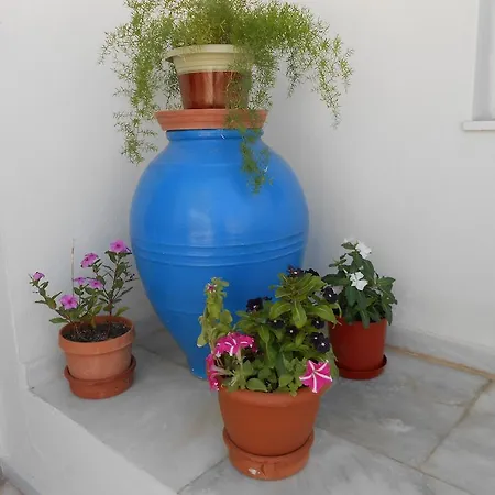 Lägenhetshotell Agnes Kini